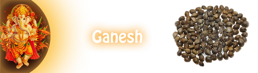 ganesh product