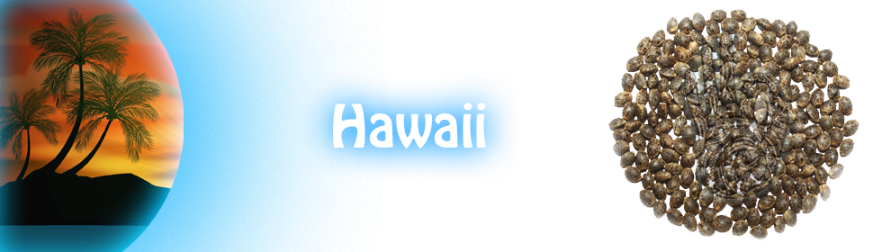 hawaii product