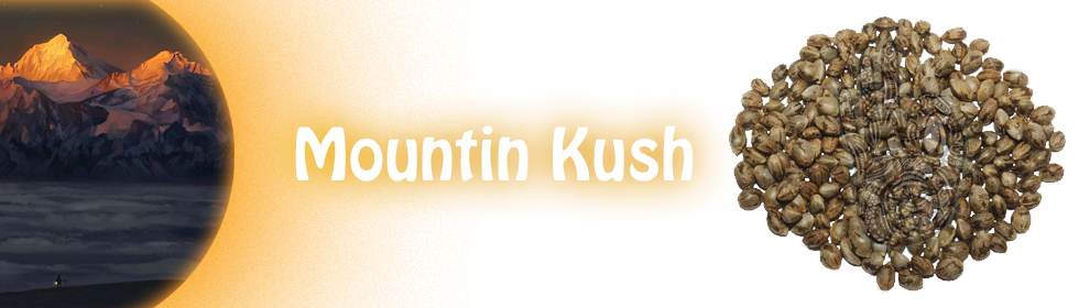 mountain kush product