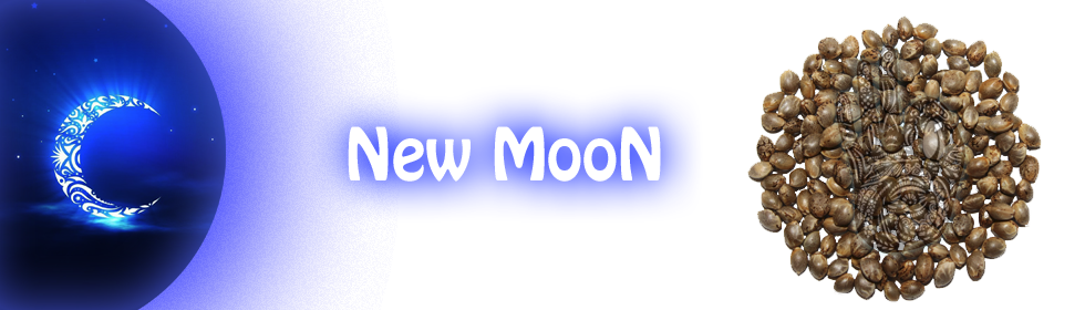 new moon product