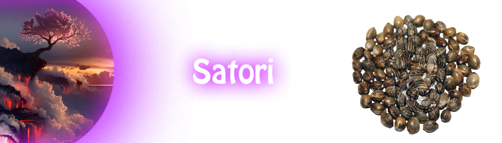 satori product